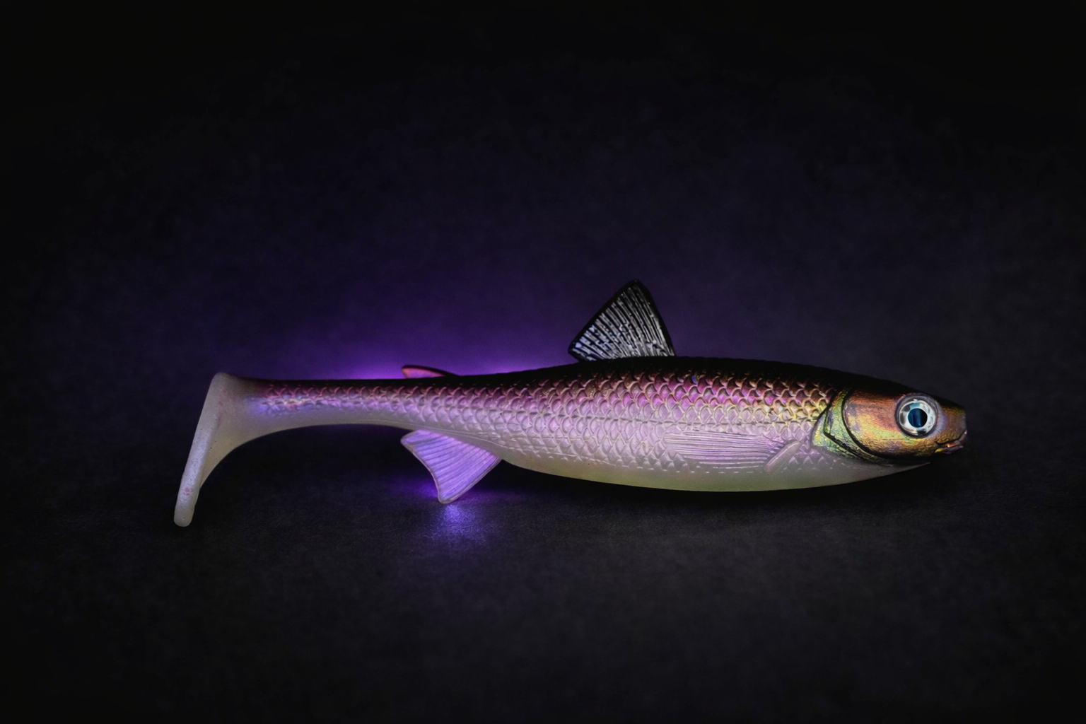 The Seeker 18cm