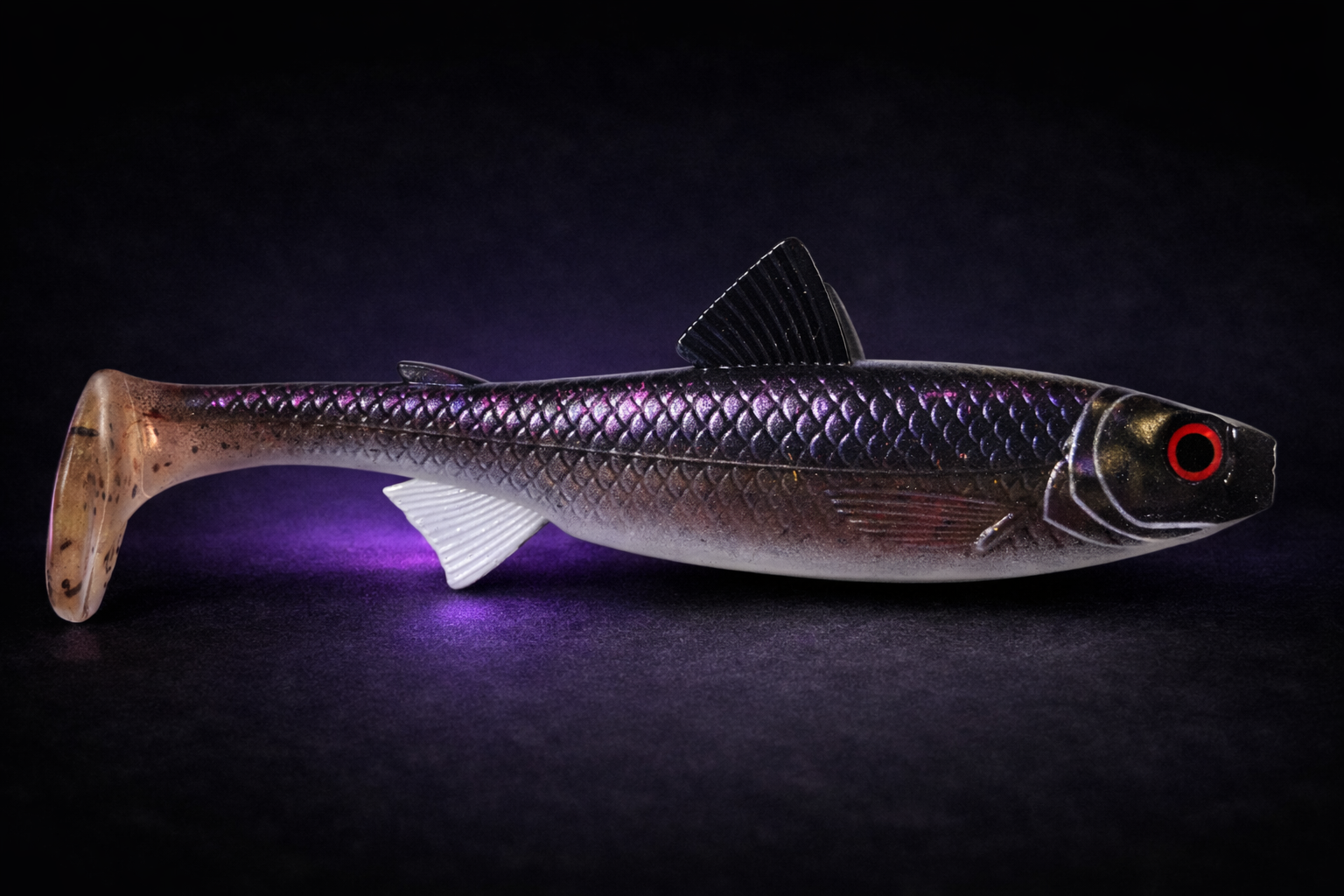 The Seeker 22cm