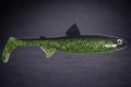 The Seeker 25cm "Green Glitter"