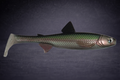 The Seeker 22cm "MAD Chrome Pink Green"