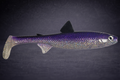 The Seeker 25cm "Purple Rain"