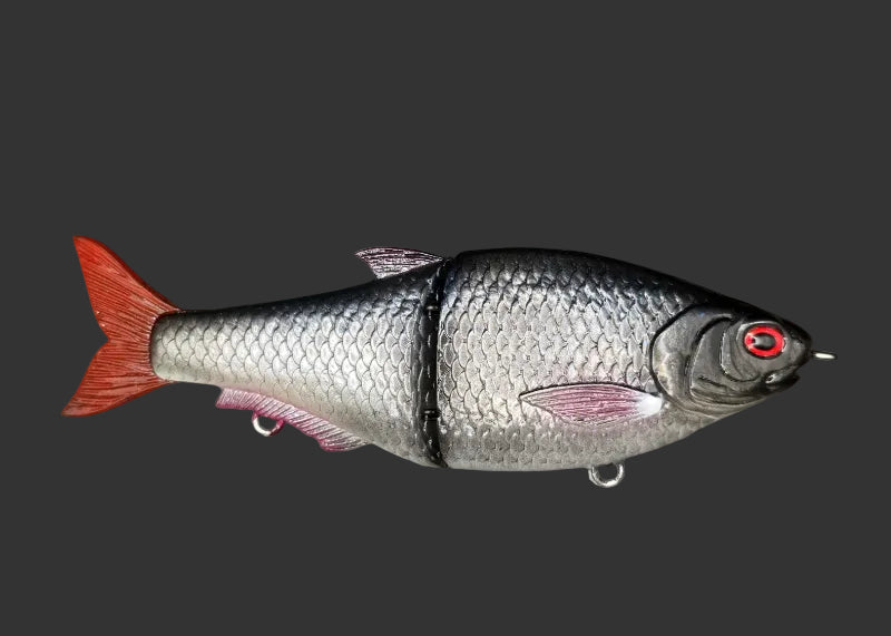 Split Roach 16cm "Roach Red Fin"